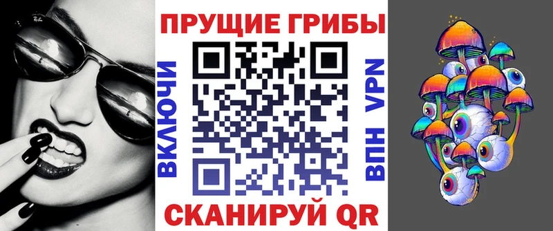 что такое наркотик  Заводоуковск  Псилоцибиновые грибы мицелий 
