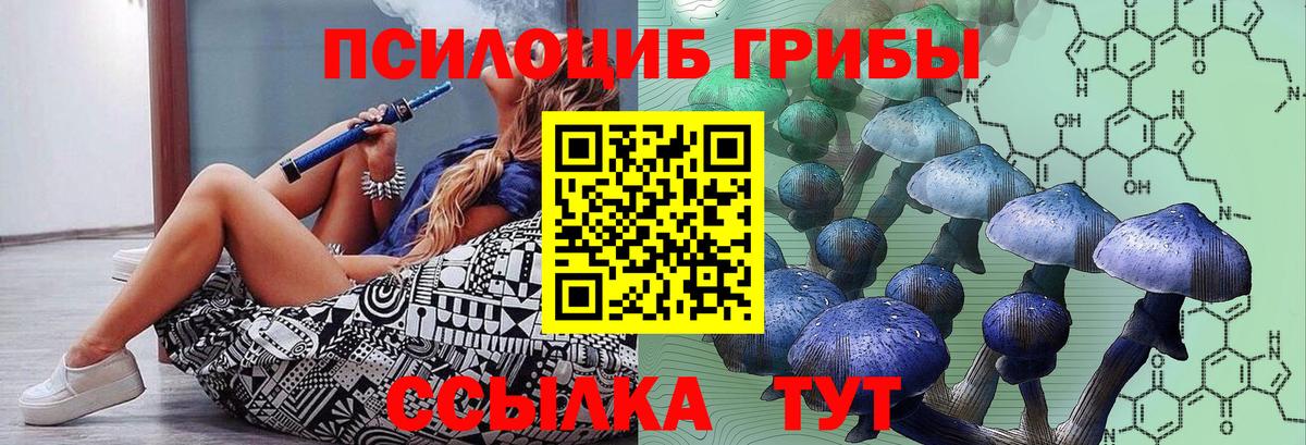 Псилоцибиновые грибы мицелий Заводоуковск