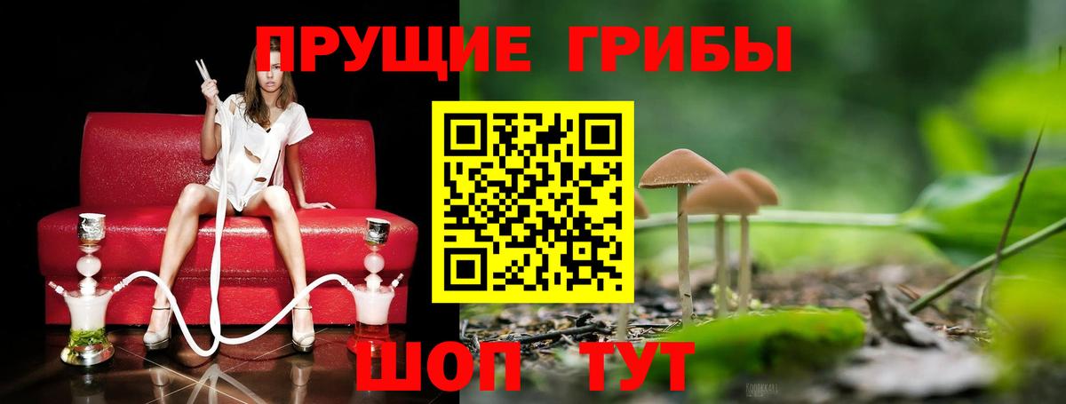 Галлюциногенные грибы мухоморы  Вход с VPN  Заводоуковск 